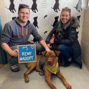 Meet your Posher, Ray